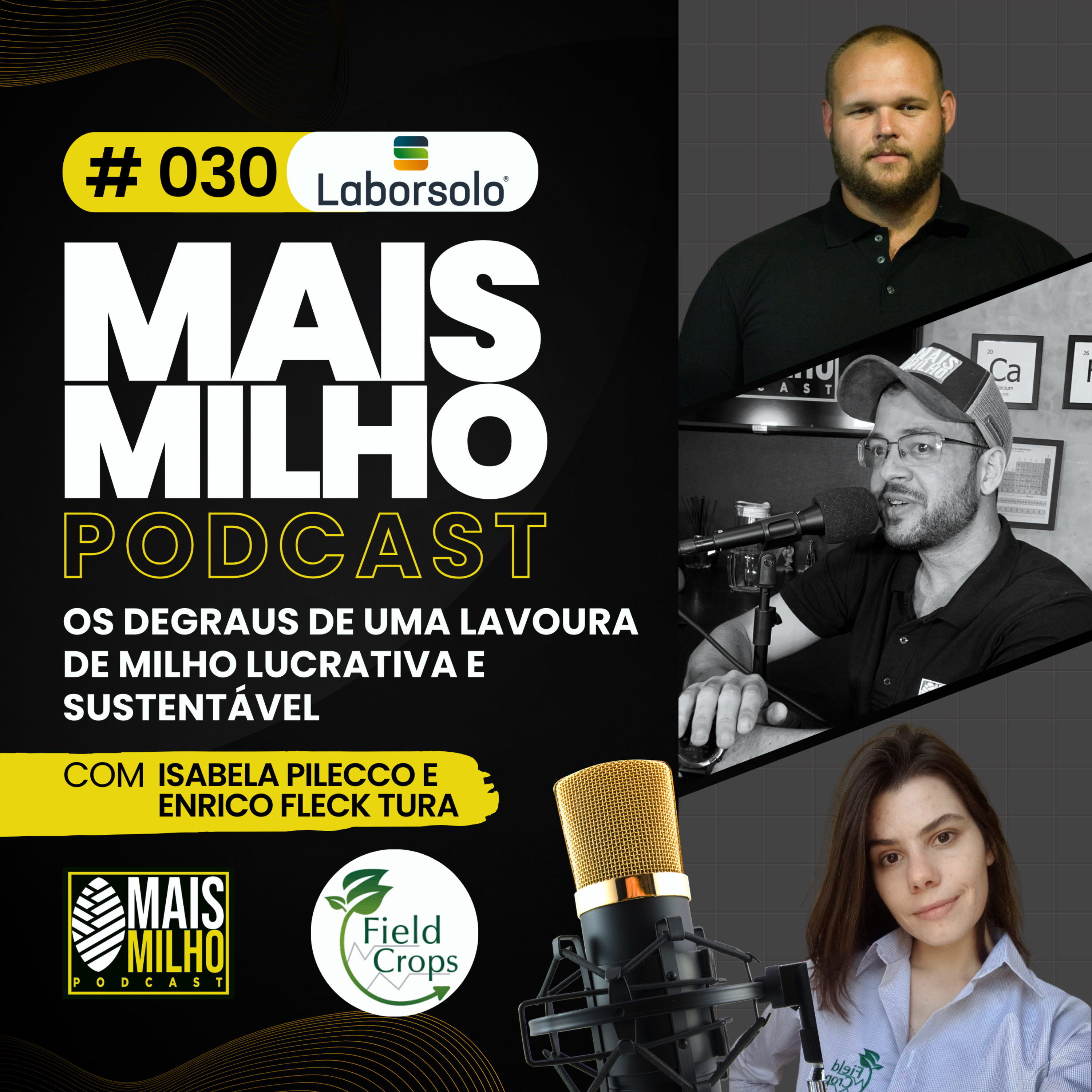 #30 - ECOFISIOLOGIA DO MILHO: VISANDO ALTAS PRODUTIVIDADES 2ª EDIÇÃO - ISABELA PILECCO E ENRICO FLECK TURA