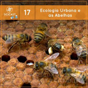 Ecologia Urbana e as Abelhas (Ciência Sem Fio #17)