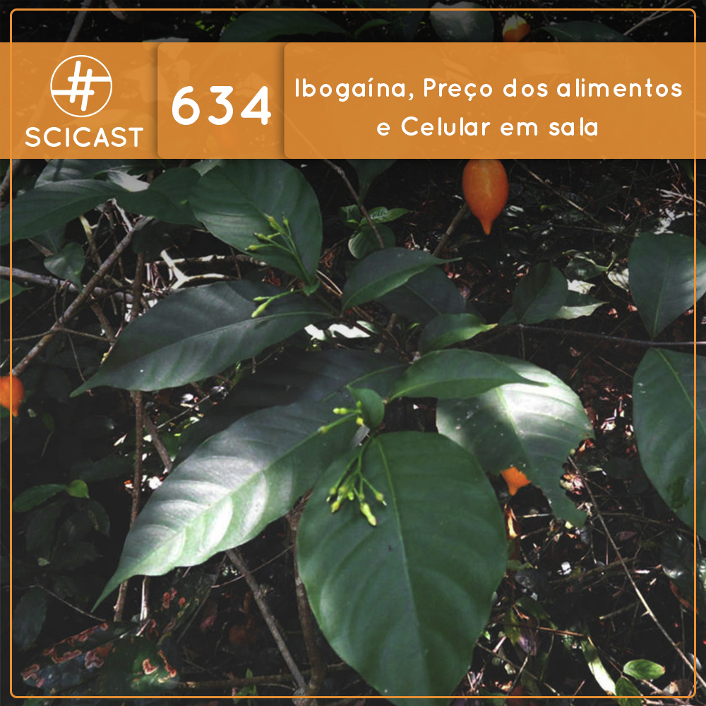 Ibogaína, preço dos alimentos e posso levar meu celular na sala de aula? (SciCast #634) - podcast episode cover