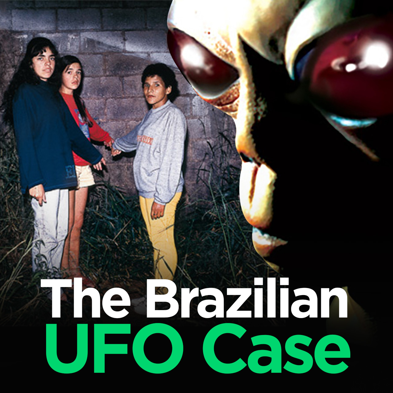 The Strange Case of a UFO in Brazil (Varginha-BR)