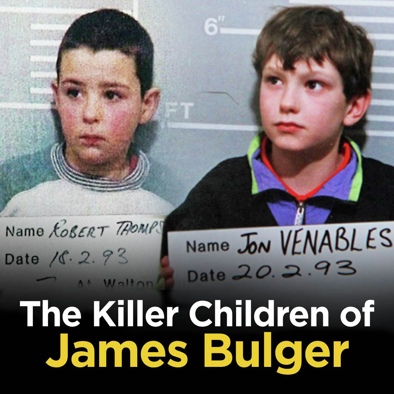 Deep Dive Into the James Bulger Case