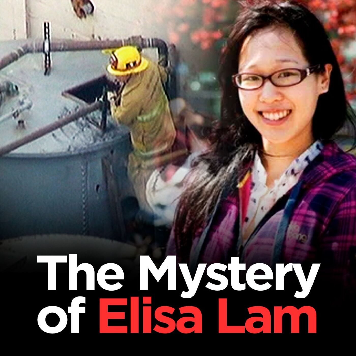 The Mysterious and Disturbing Case of Elisa Lam