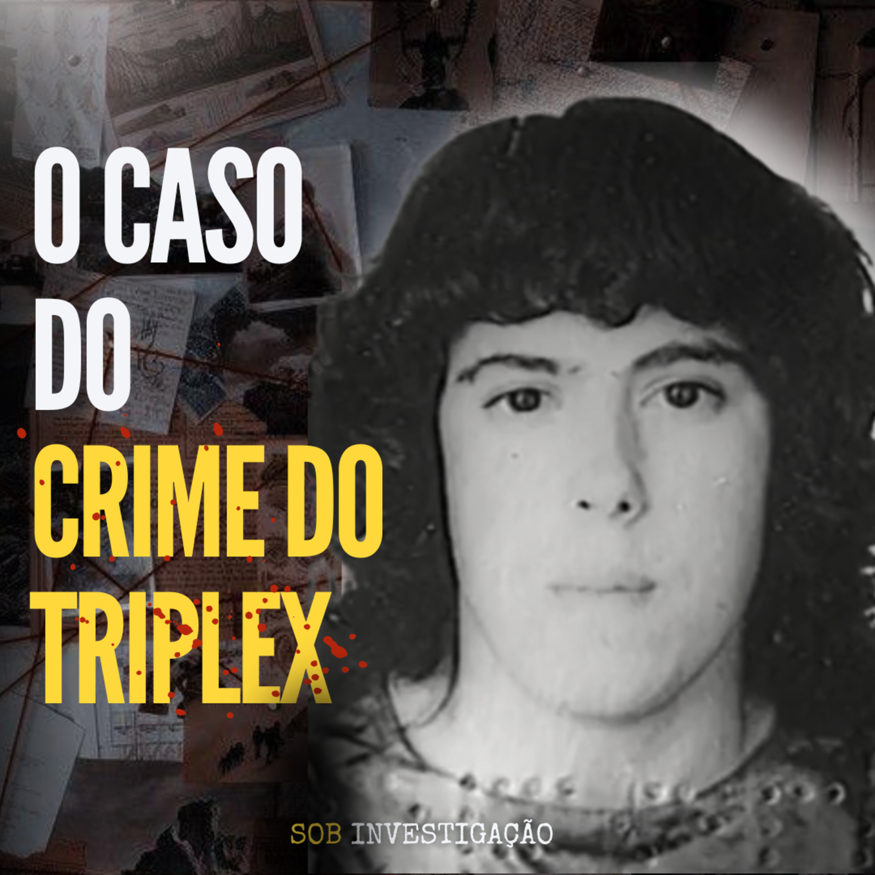 T02 Ep13 O caso do crime do triplex