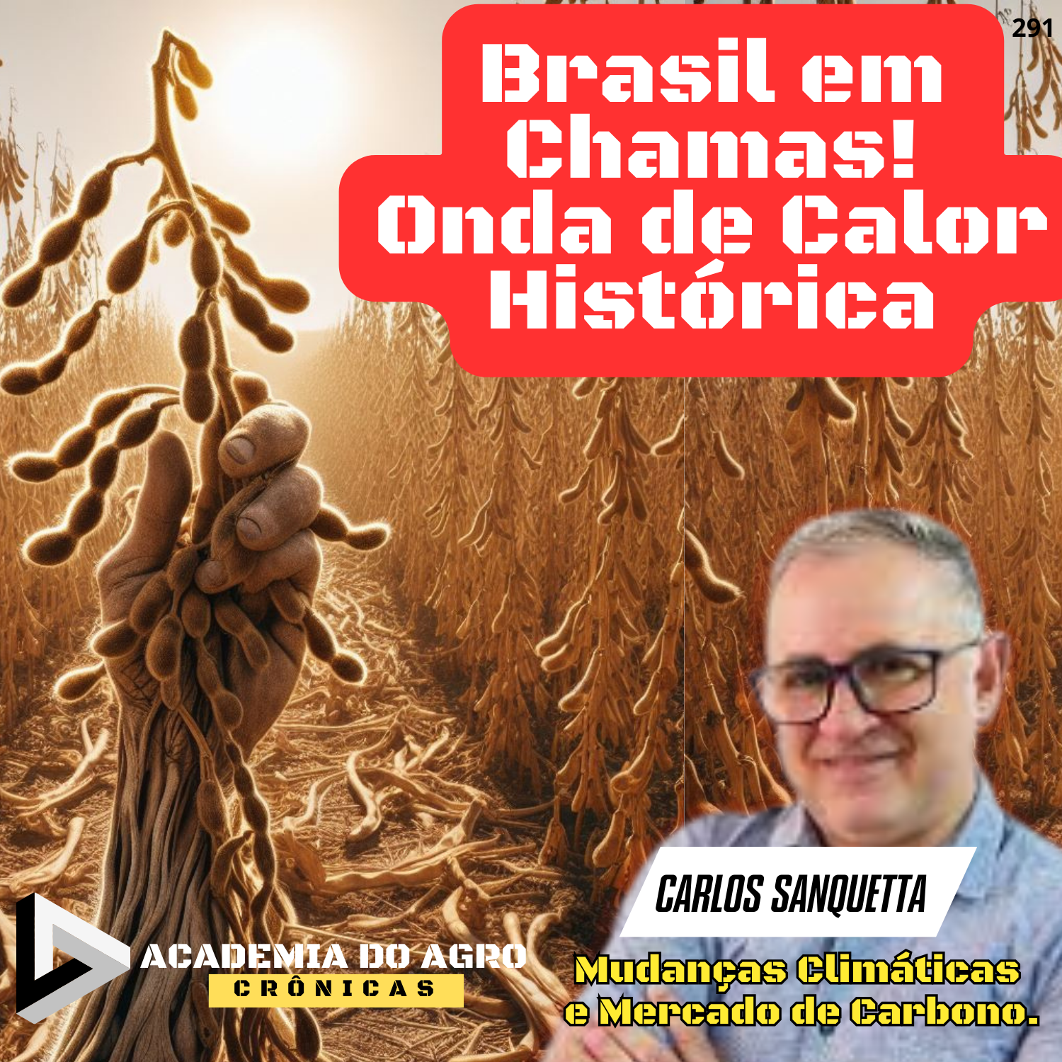 Brasil em Chamas: Onda de Calor Histórica