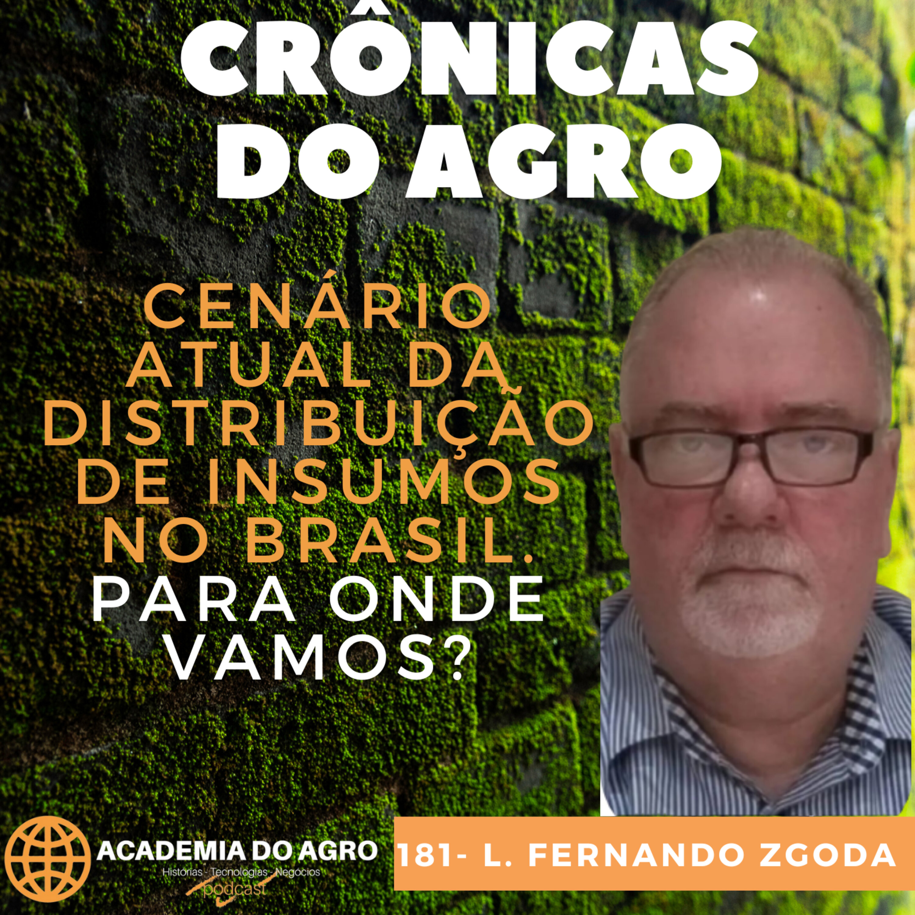 Cenário Atual da Distribuição de Insumos no Brasil. Para onde Vamos?