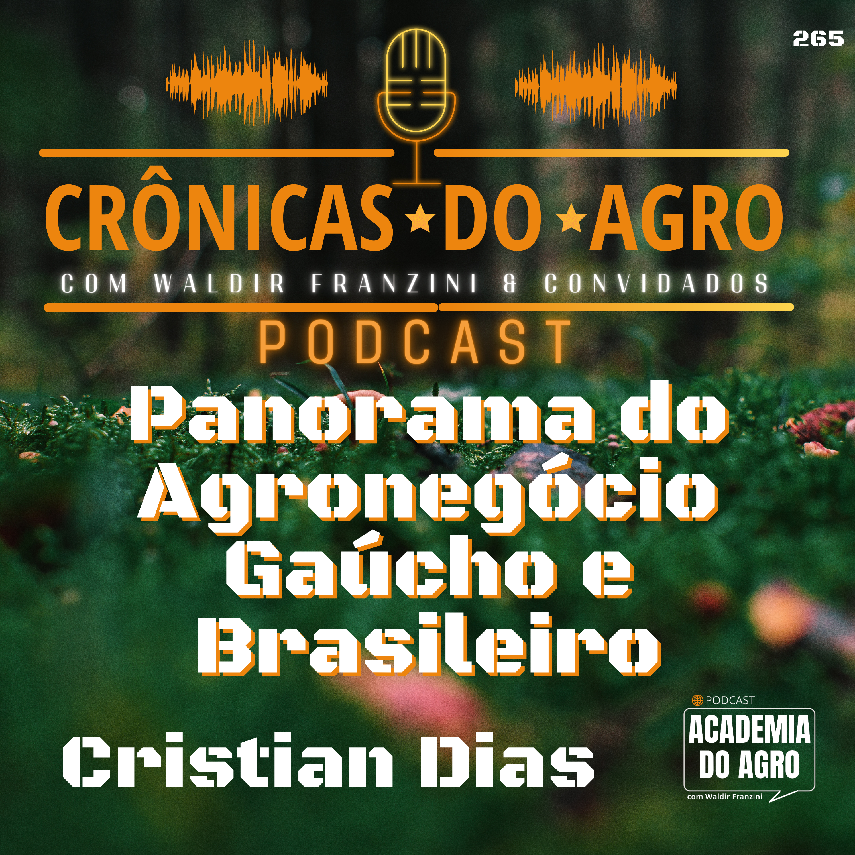 Panorama do Agronegócio Gaúcho e Brasileiro