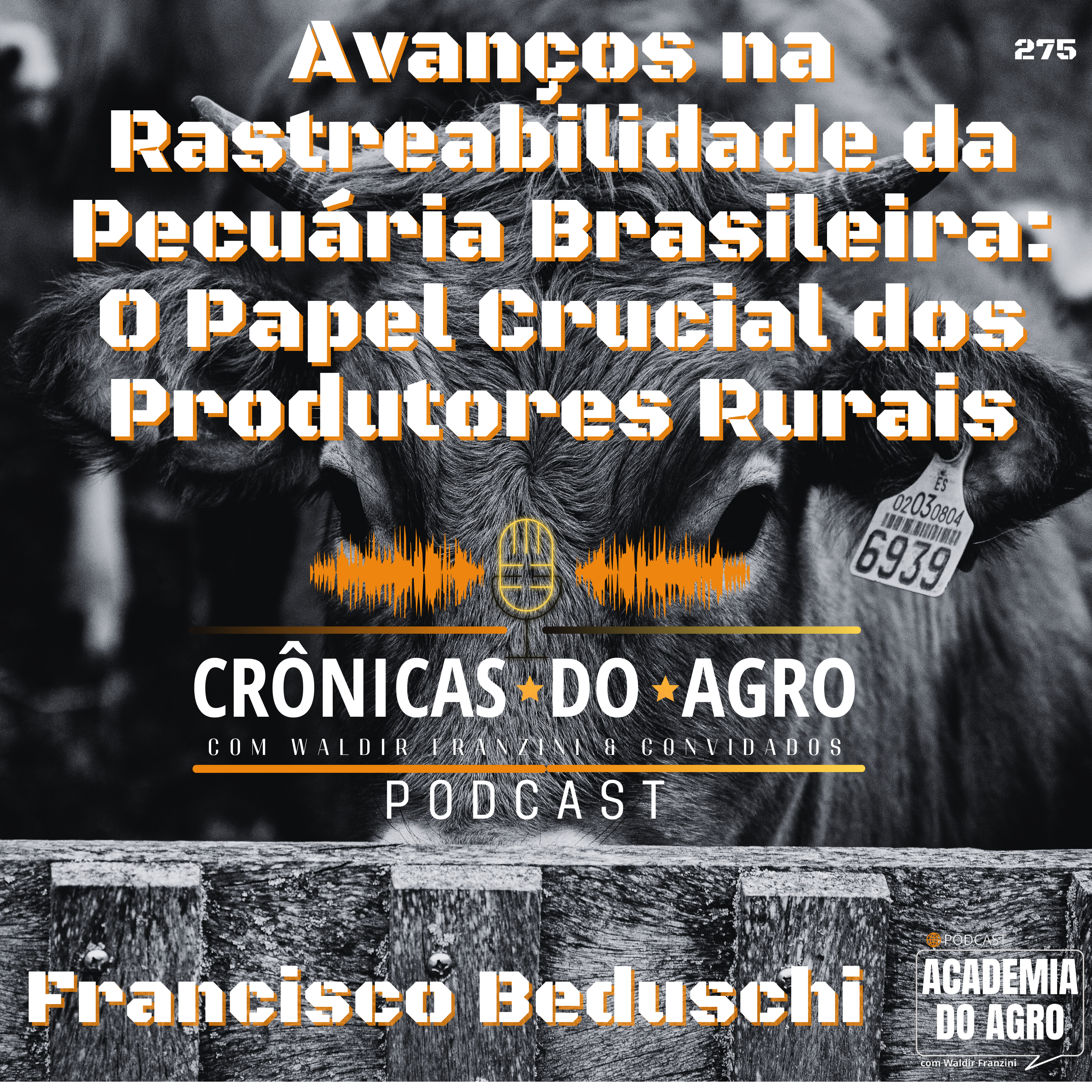Avanços na Rastreabilidade da Pecuária Brasileira: O Papel Crucial dos Produtores Rurais