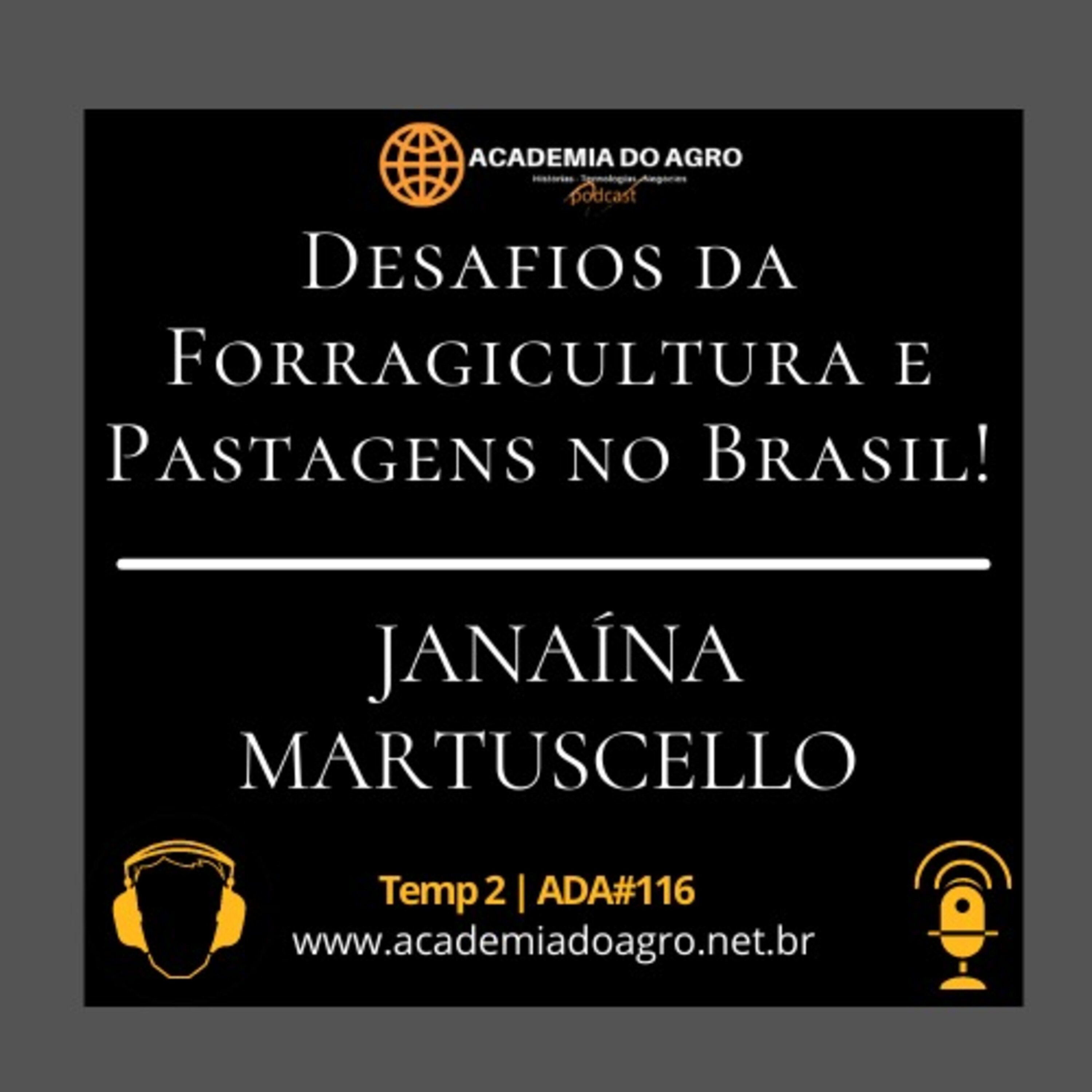 Desafios da Forragicultura e Pastagens no Brasil!