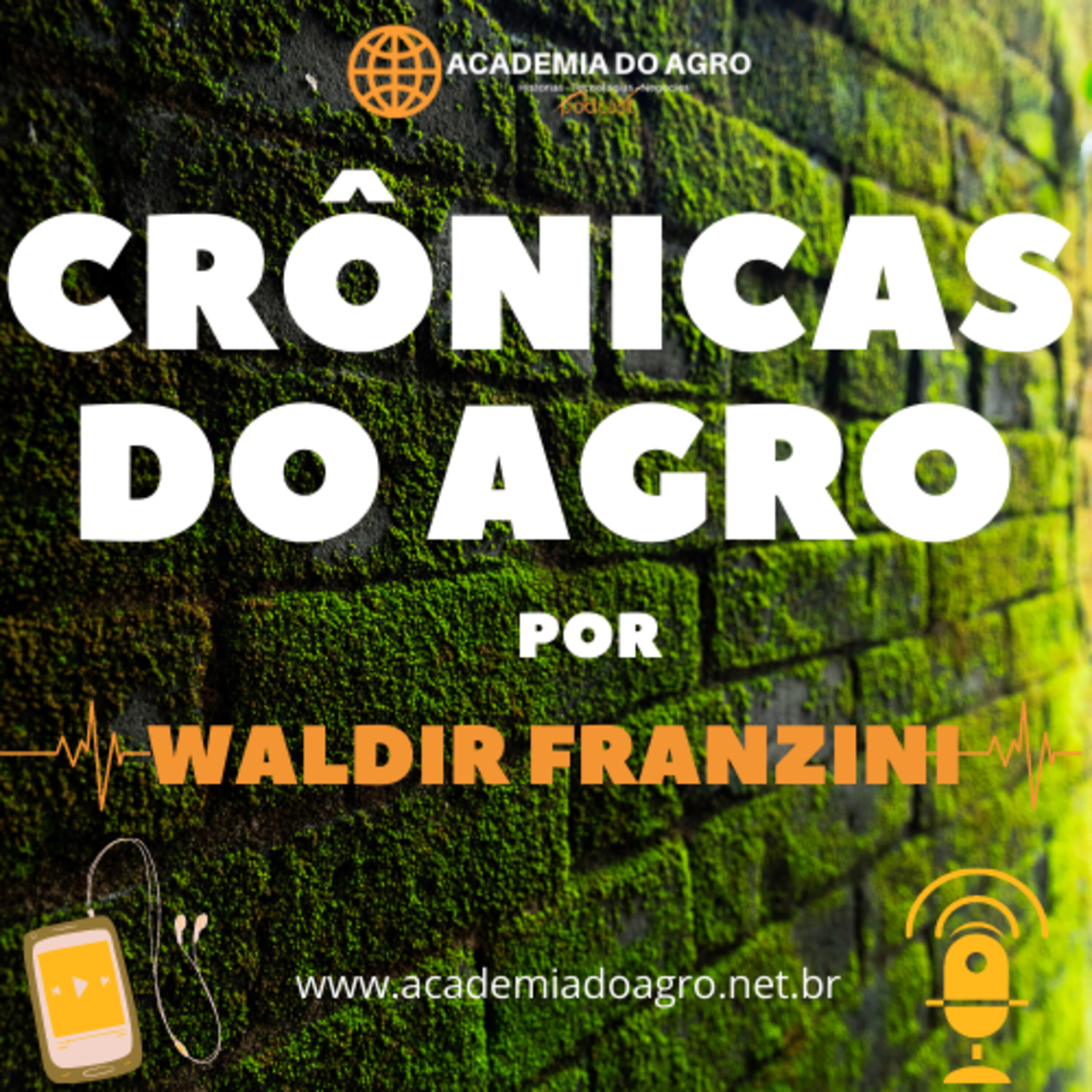 Brasil caminha na direção certa para se tornar uma potência agroambiental