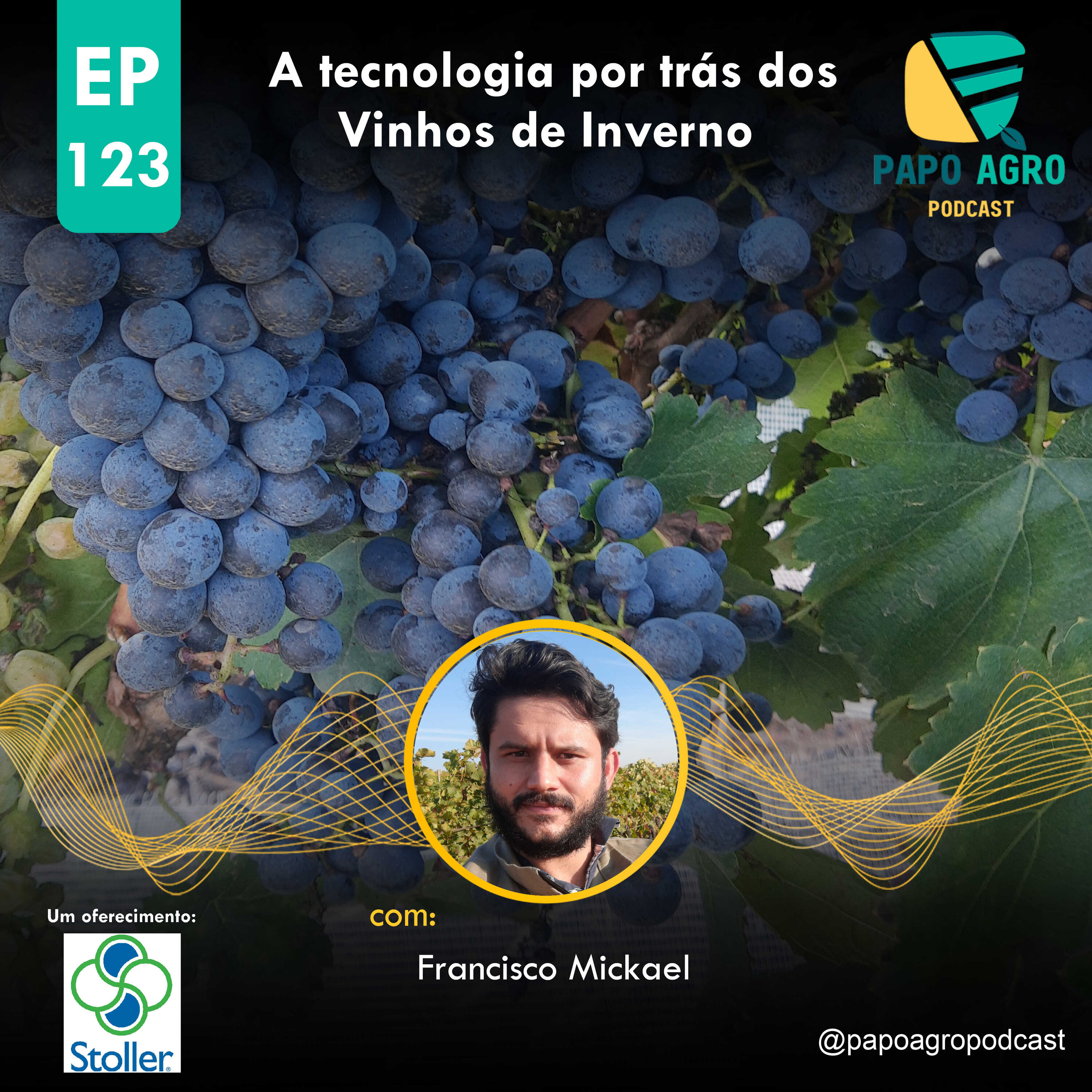 PA123 - A tecnologia por tras Vinhos de Inverno