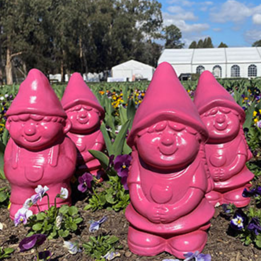 Have You Spotted Any of These Pink Gnomes in Canberra?