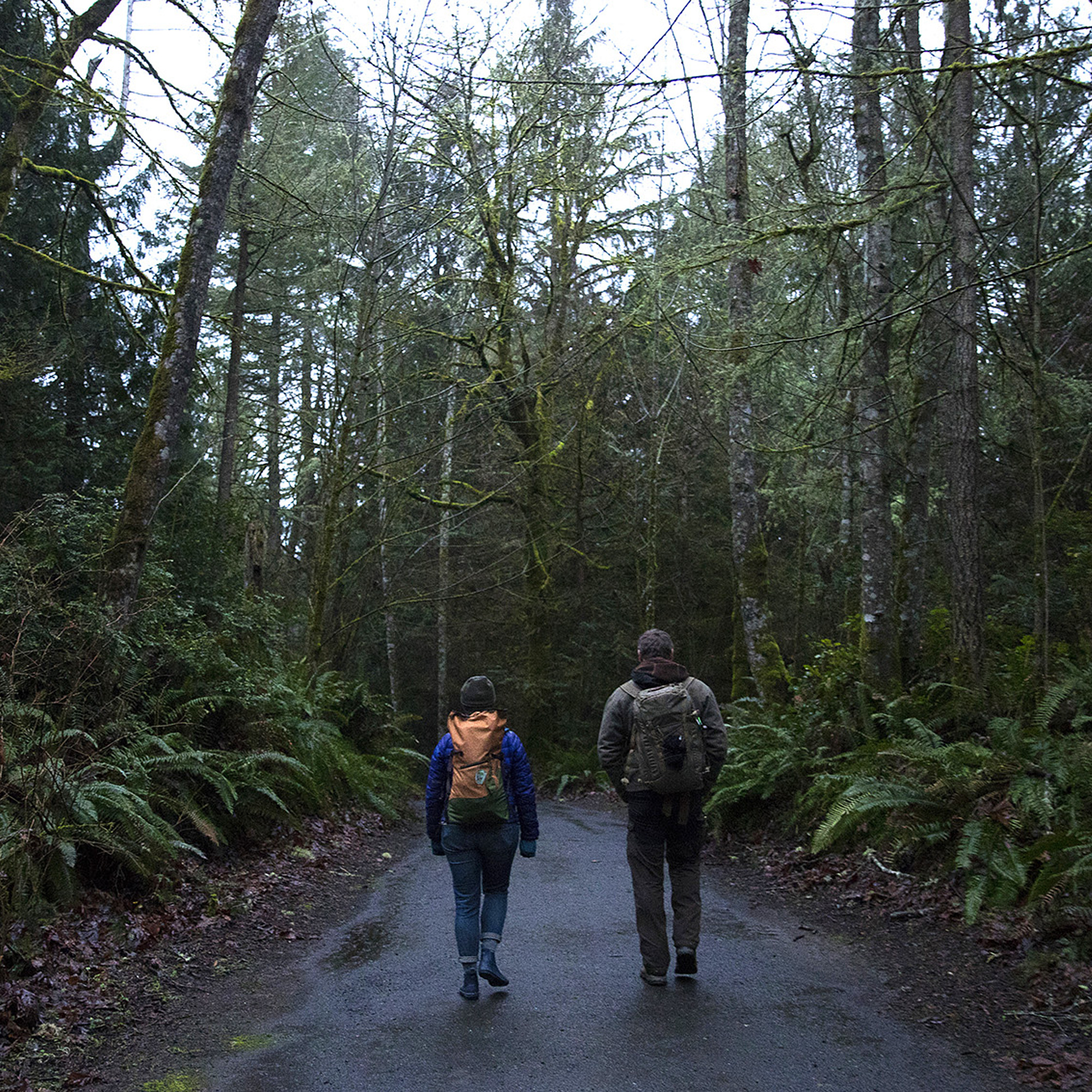 Chris Morgan sees a forest therapist