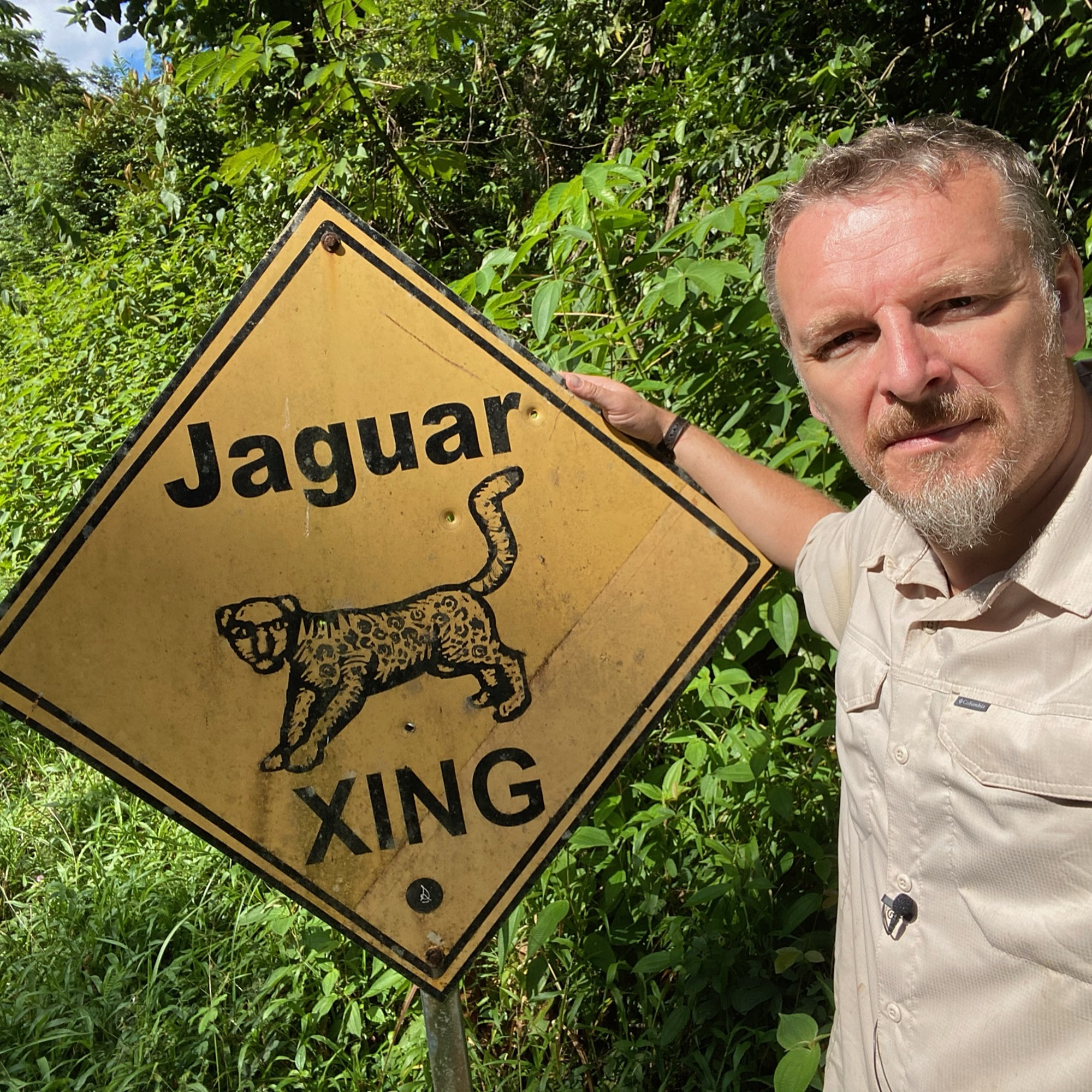 The Path of the Jaguar