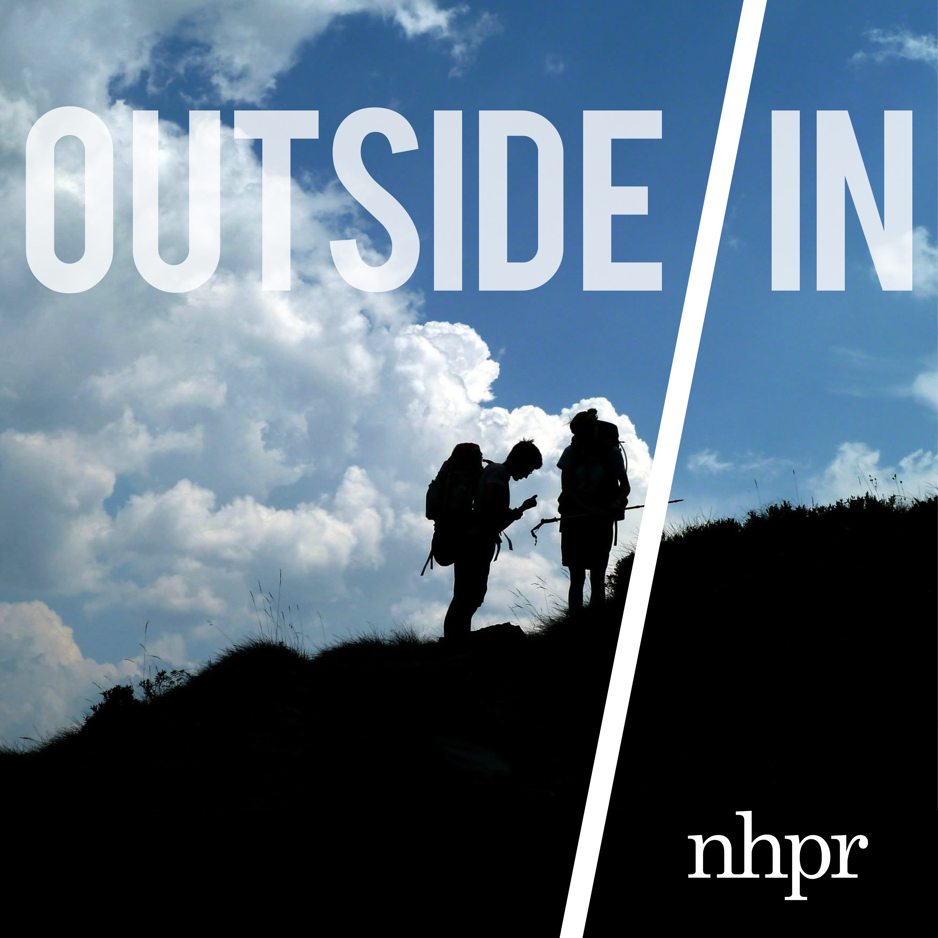 The Wild presents Outside/In: Not everyone is wild about wild horses - podcast episode cover