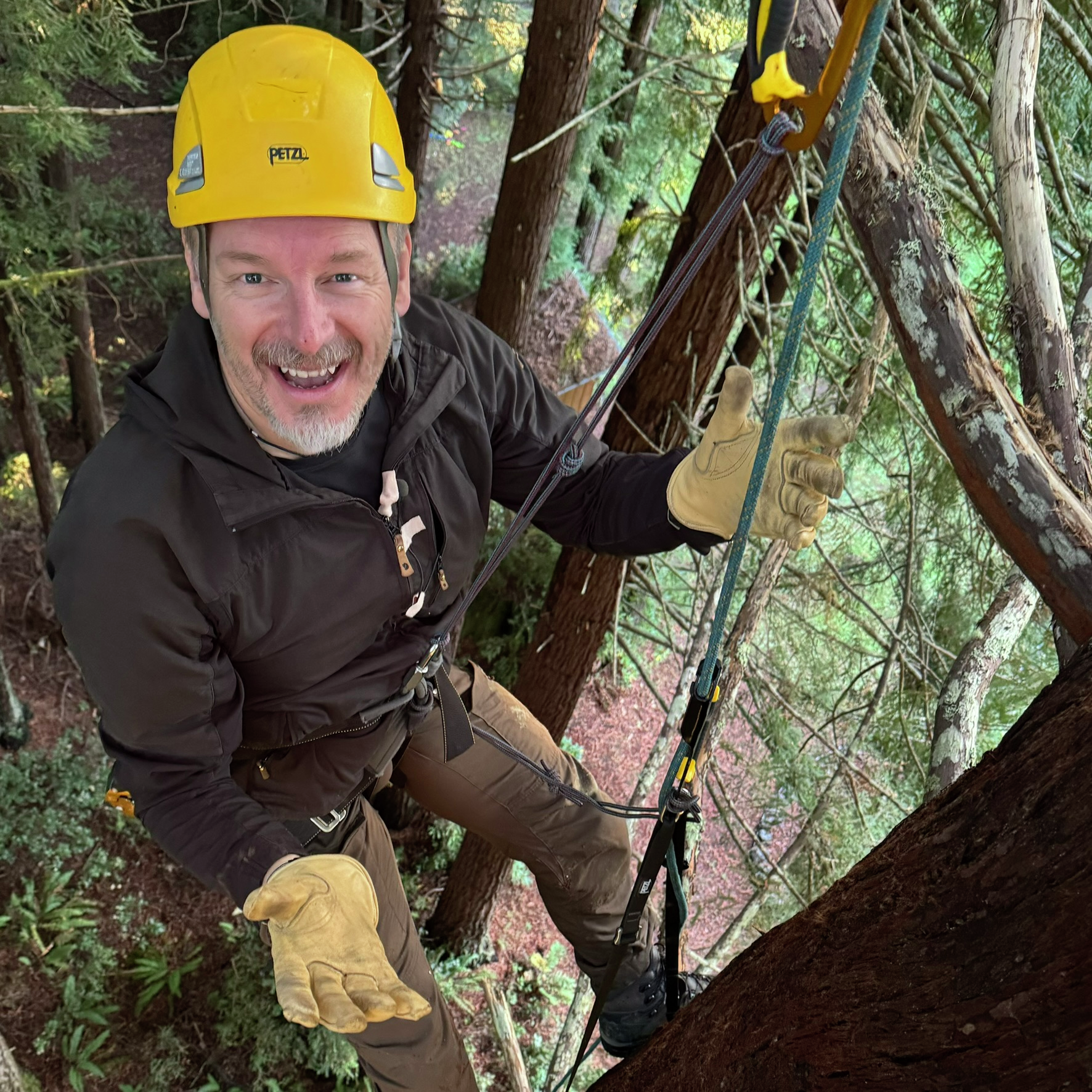 Redwood National Park: Saving the tallest trees on Earth