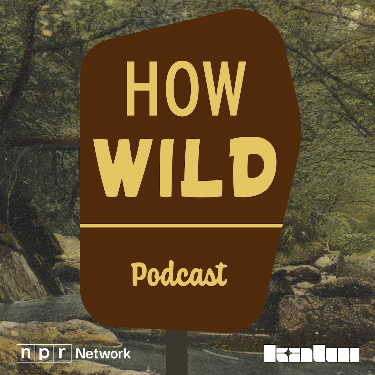 The Wild presents How Wild: Solitude - podcast episode cover