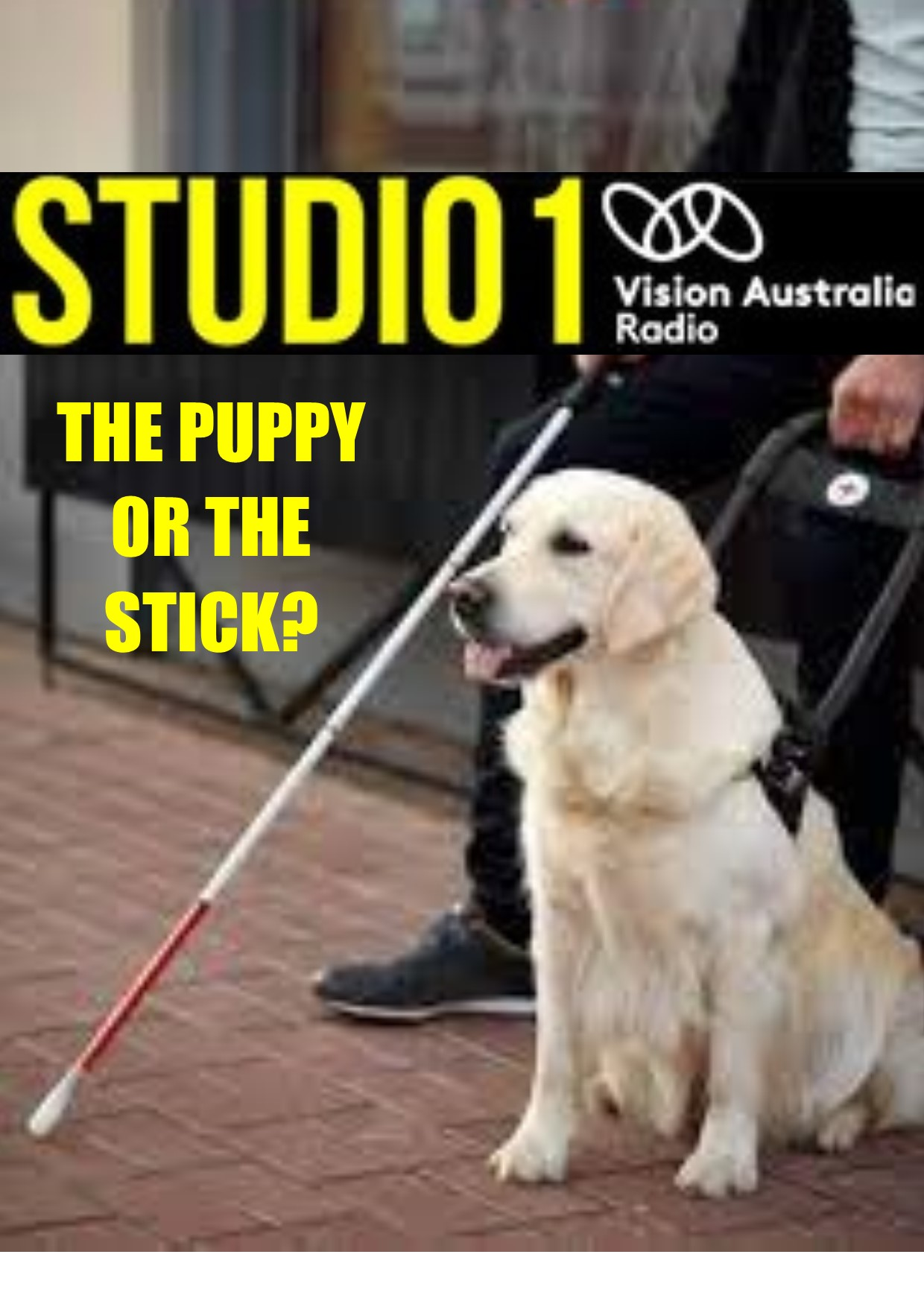 The Puppy or the Stick?