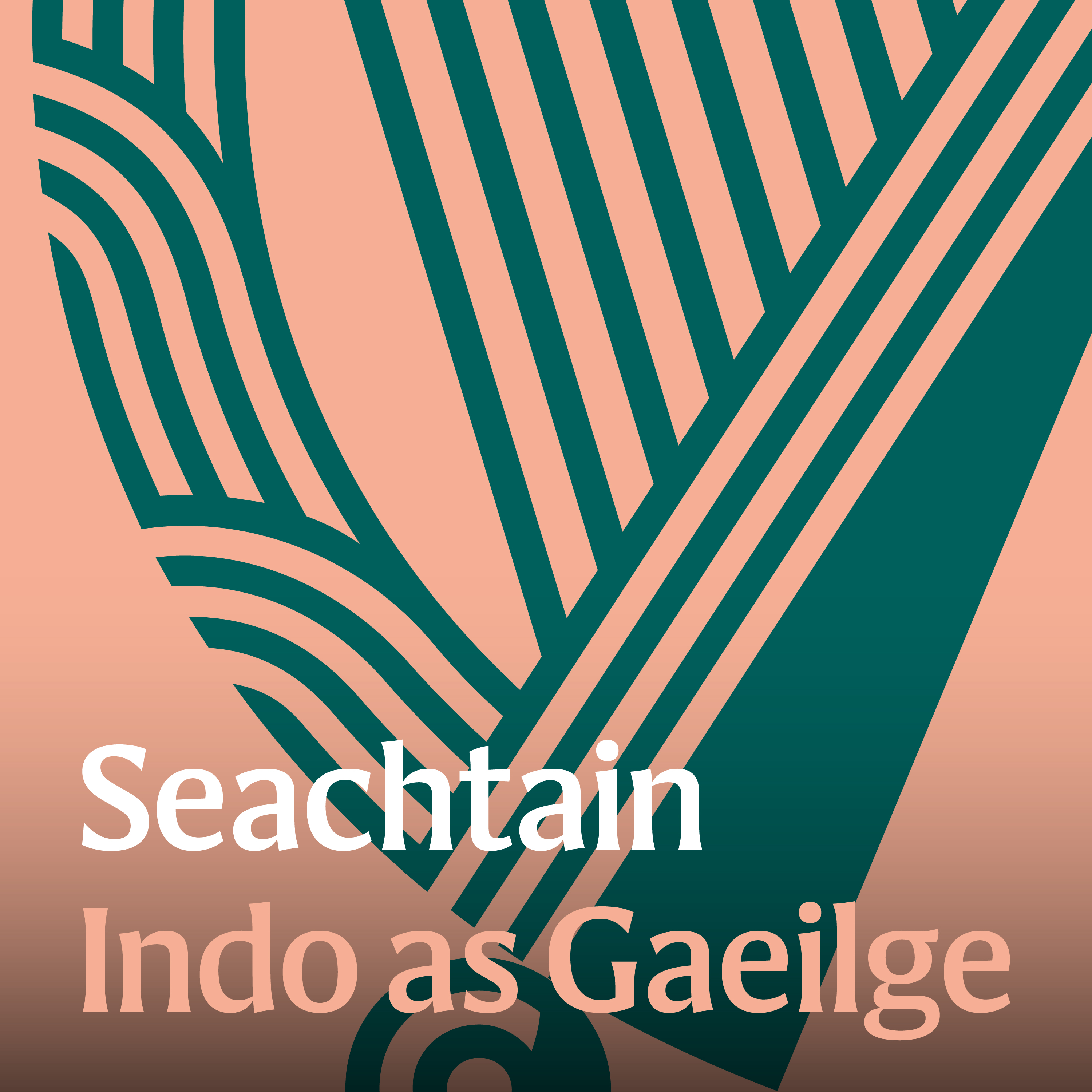 Introducing Seachtain