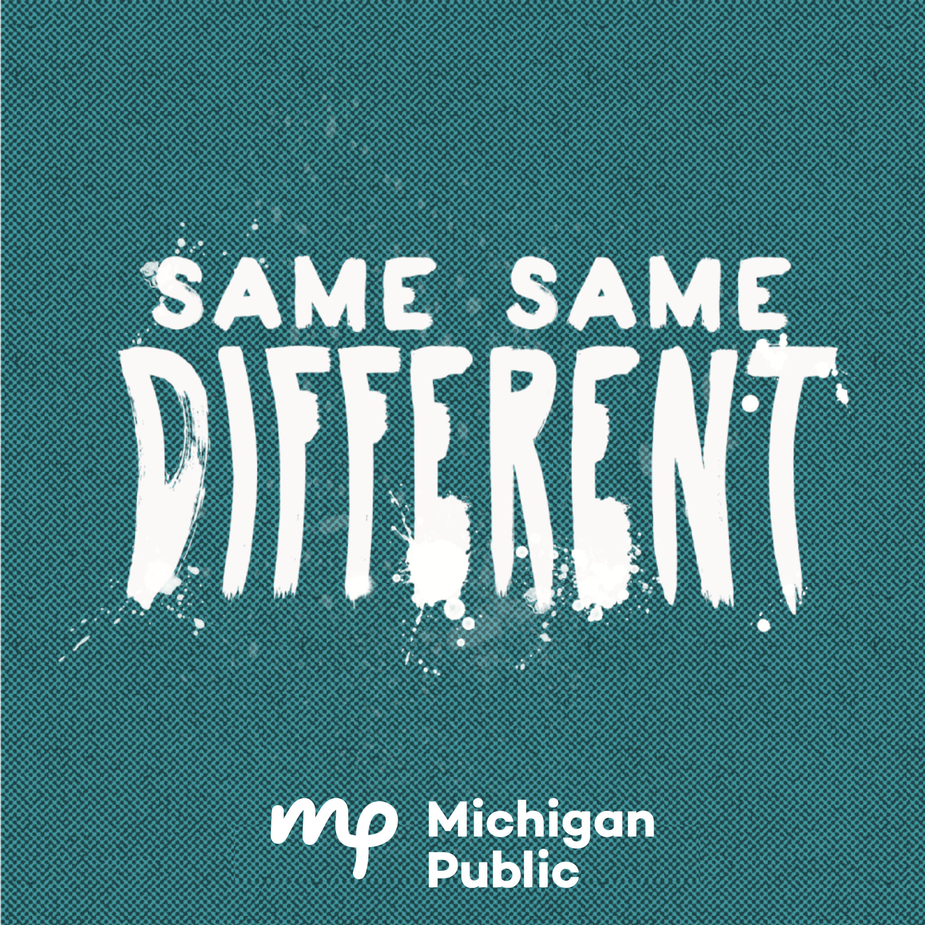 Write the same differently. Same different. Same. Same or different.