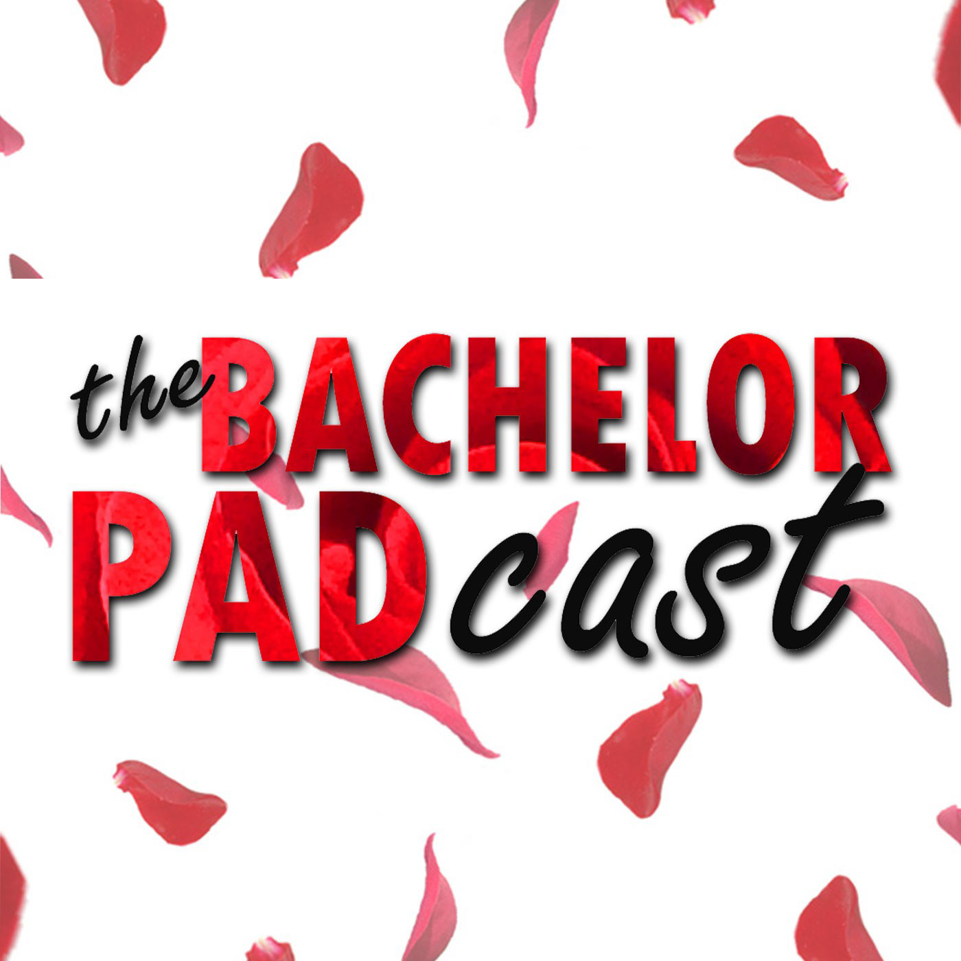 A Dude's Breakdown Of The Bachelorette