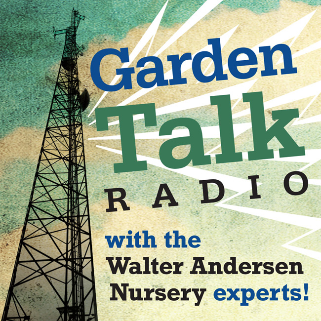 GardenTalk by Walter Andersen Nursery | 09.19.20