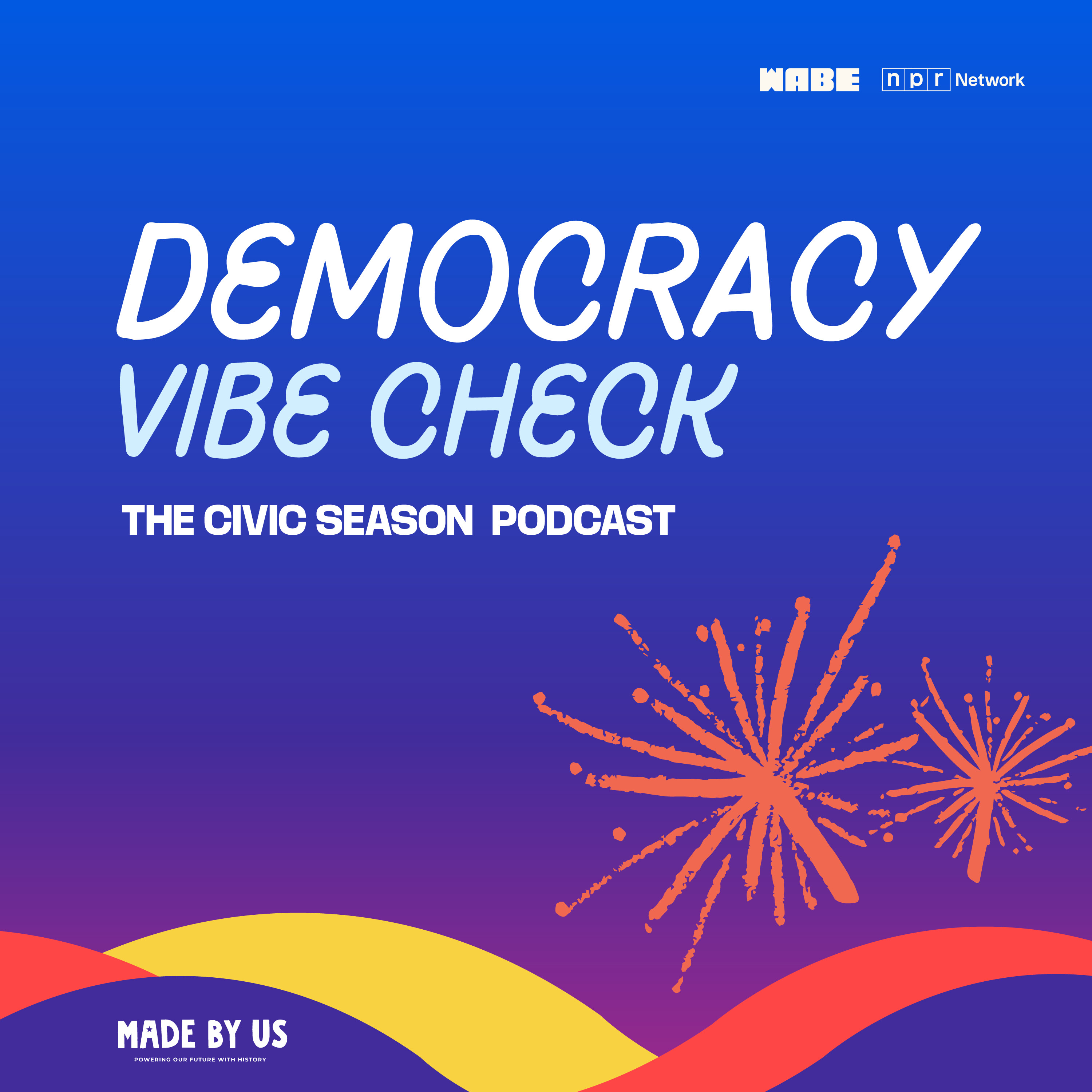 Democracy Vibe Check