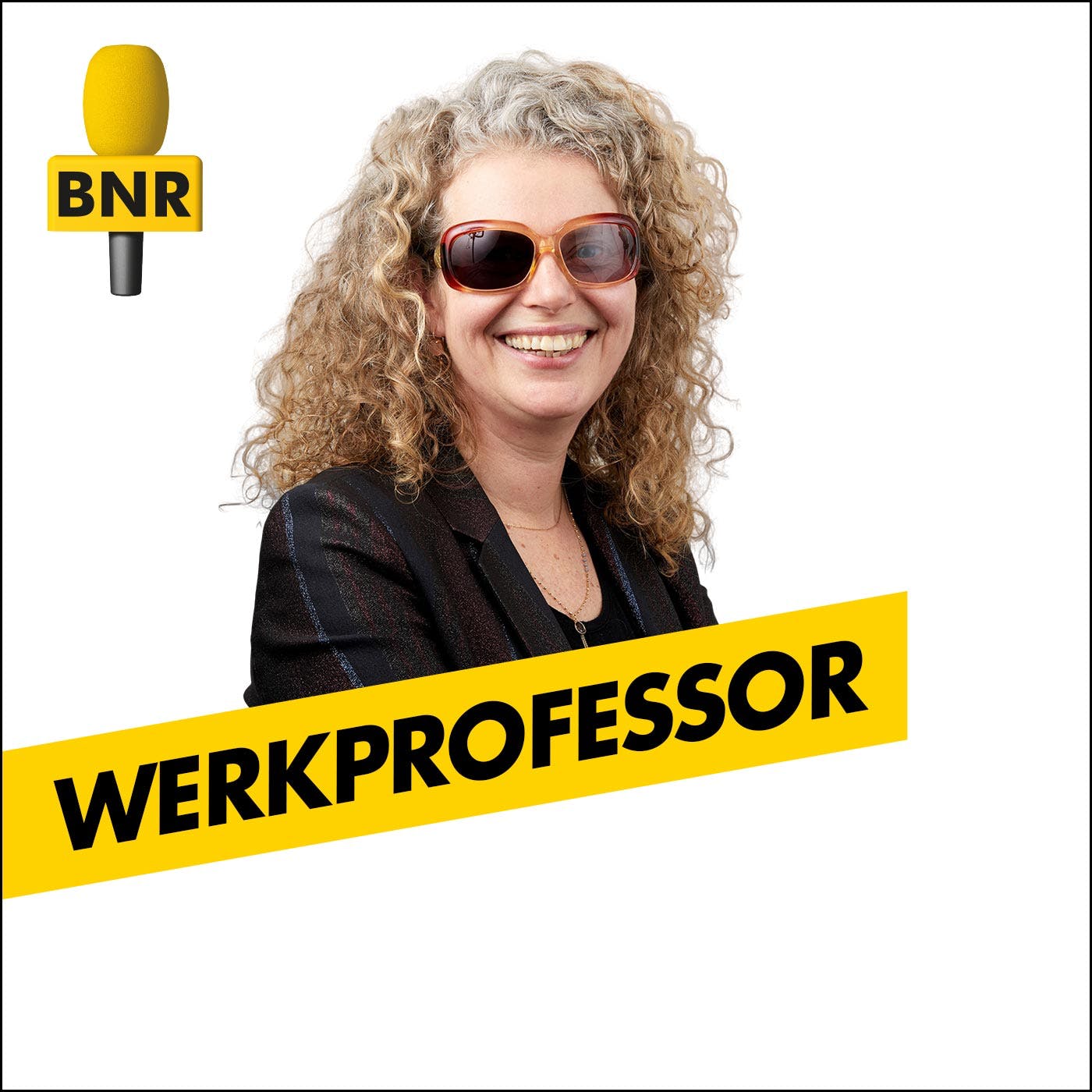 Podcast Luisteren (PodNL): Werkprofessor | BNR