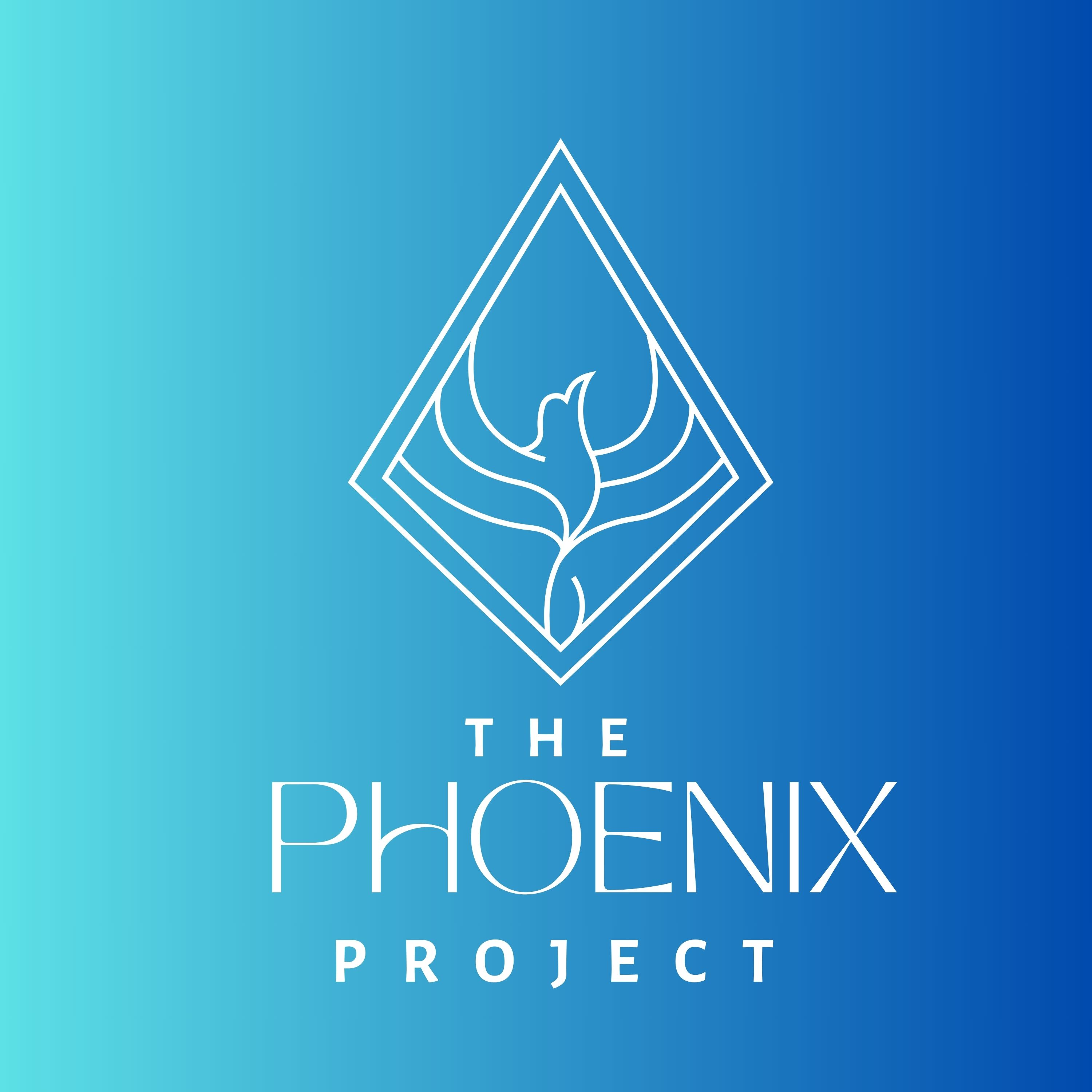 The Phoenix Project