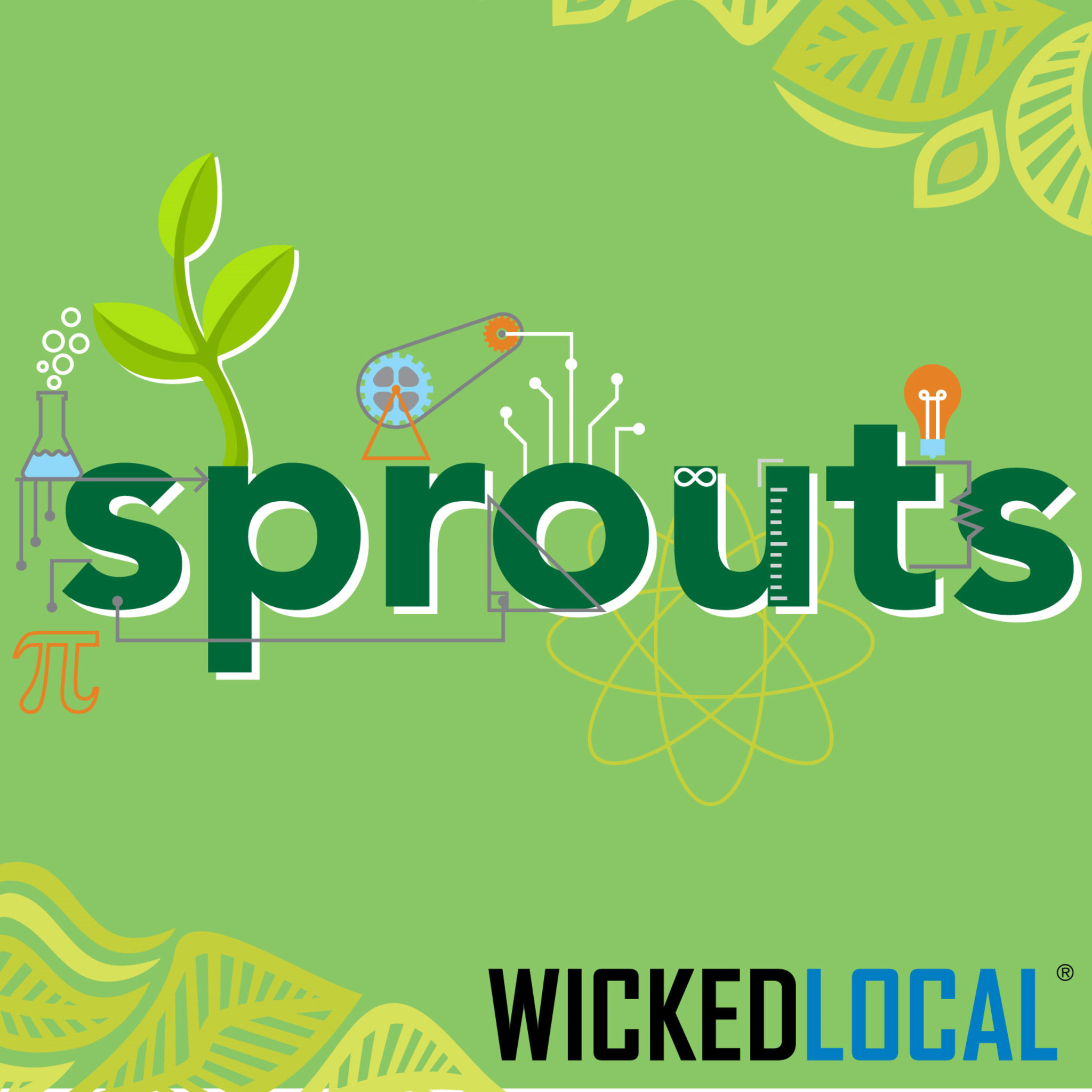 An introduction to Laura Lovett & Sprouts