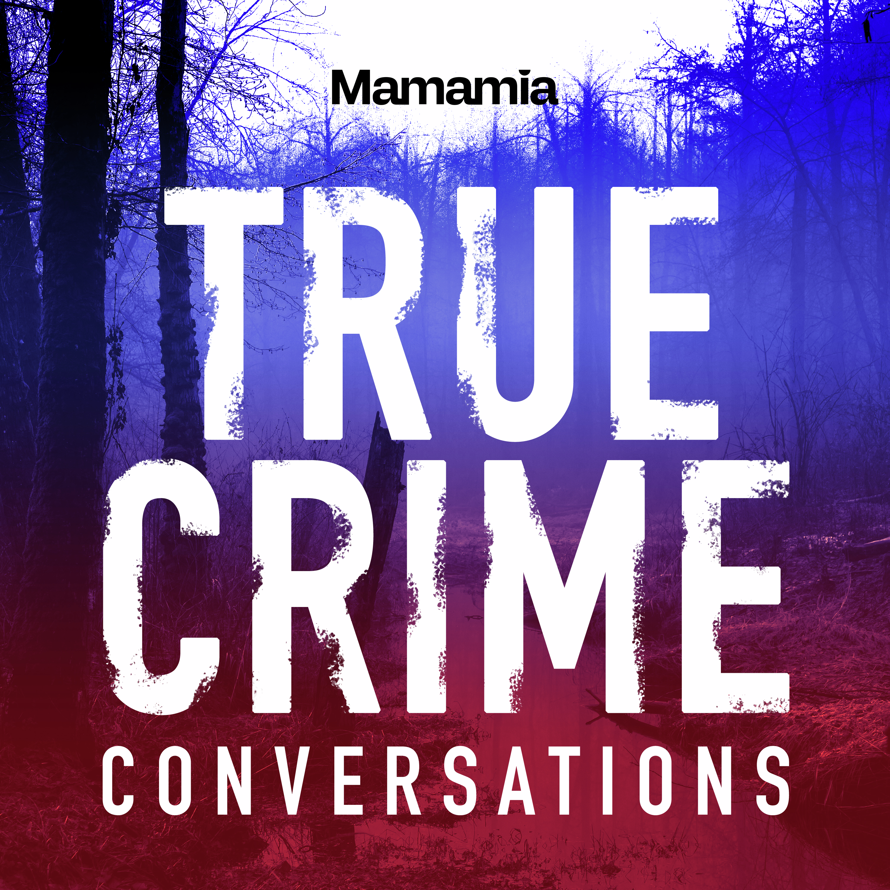 True Crime Conversations