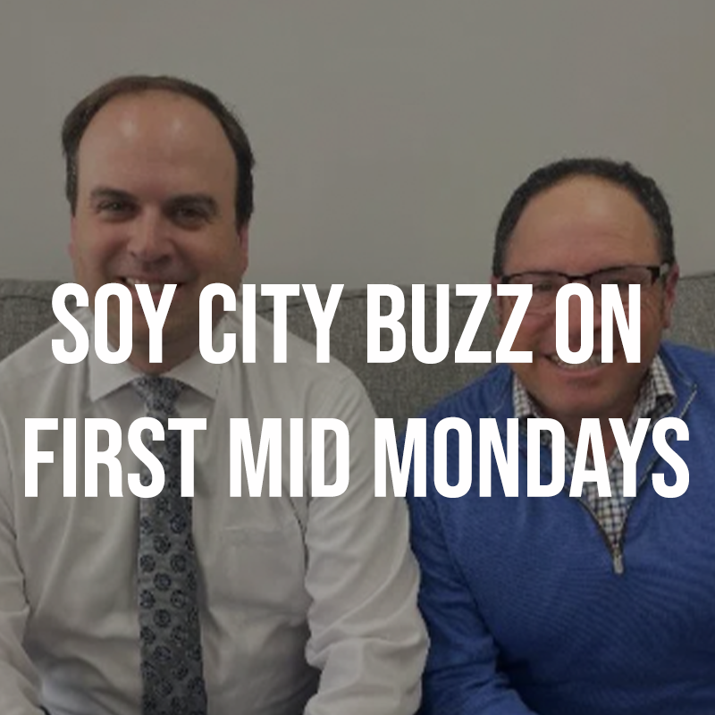 Soy City Buzz