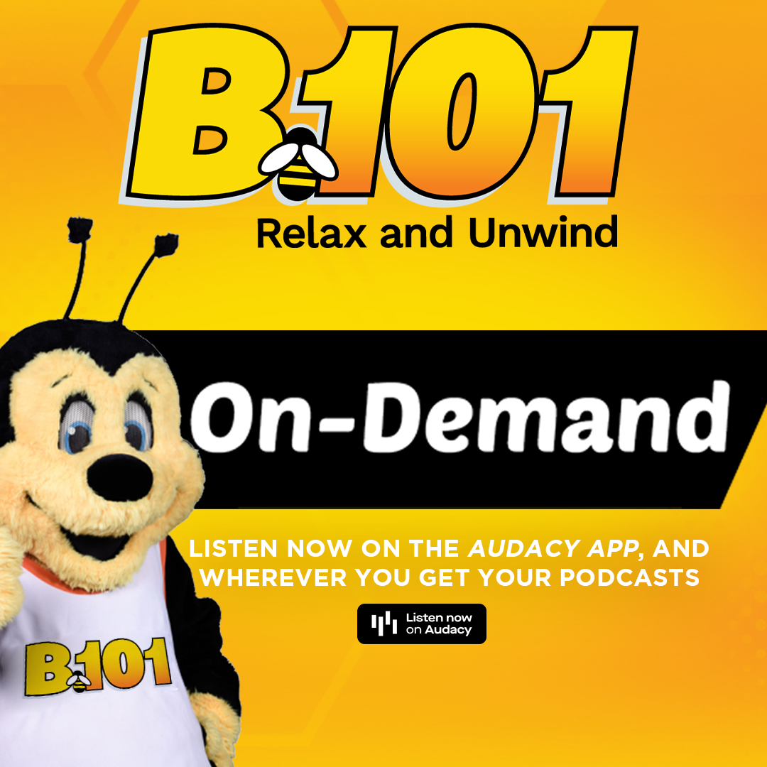 B101 on Demand