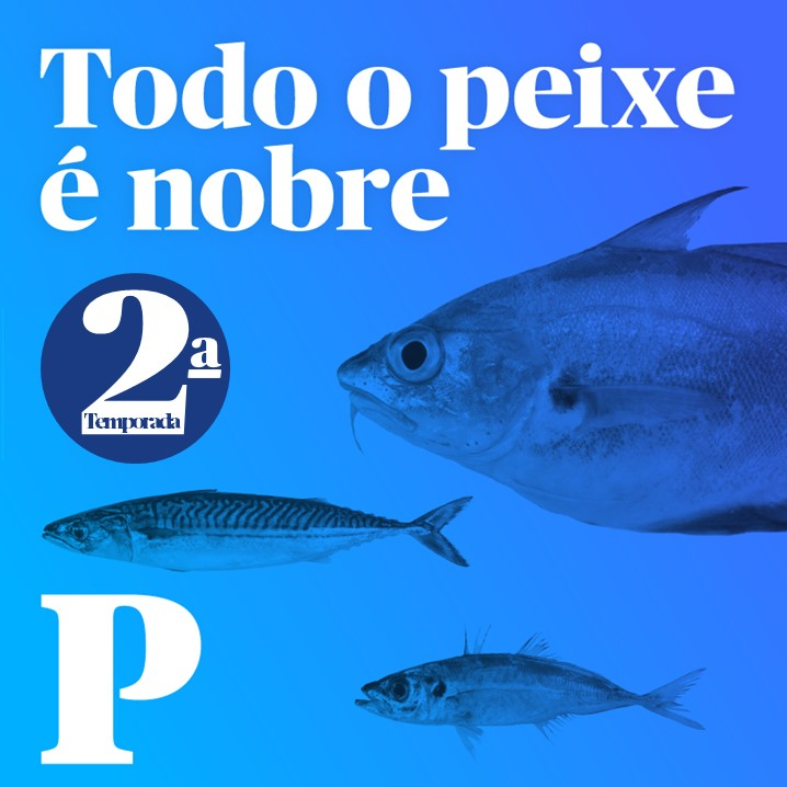 Todo o Peixe é Nobre