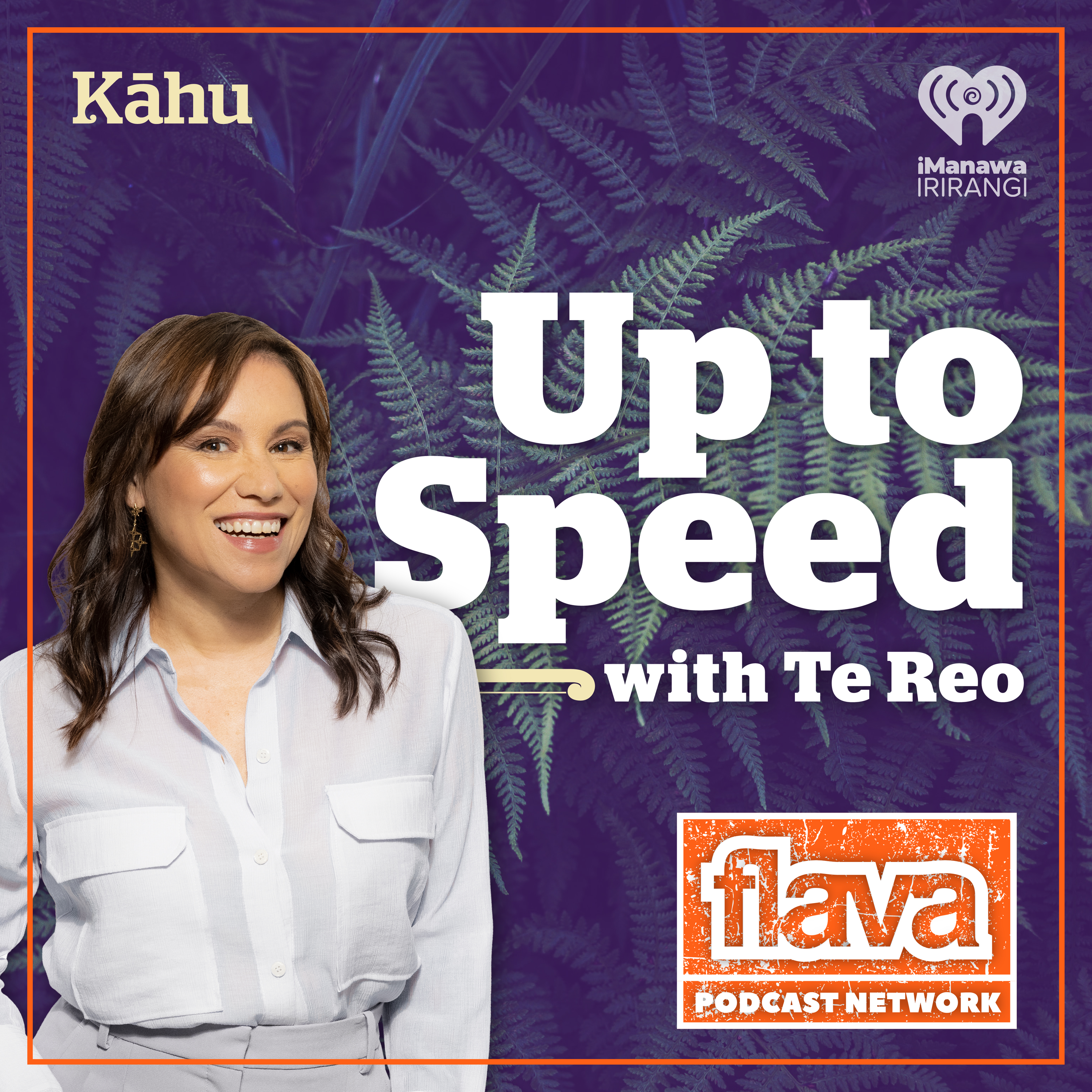 Up to Speed with hui Māori