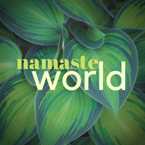 Namaste World (Hindi)