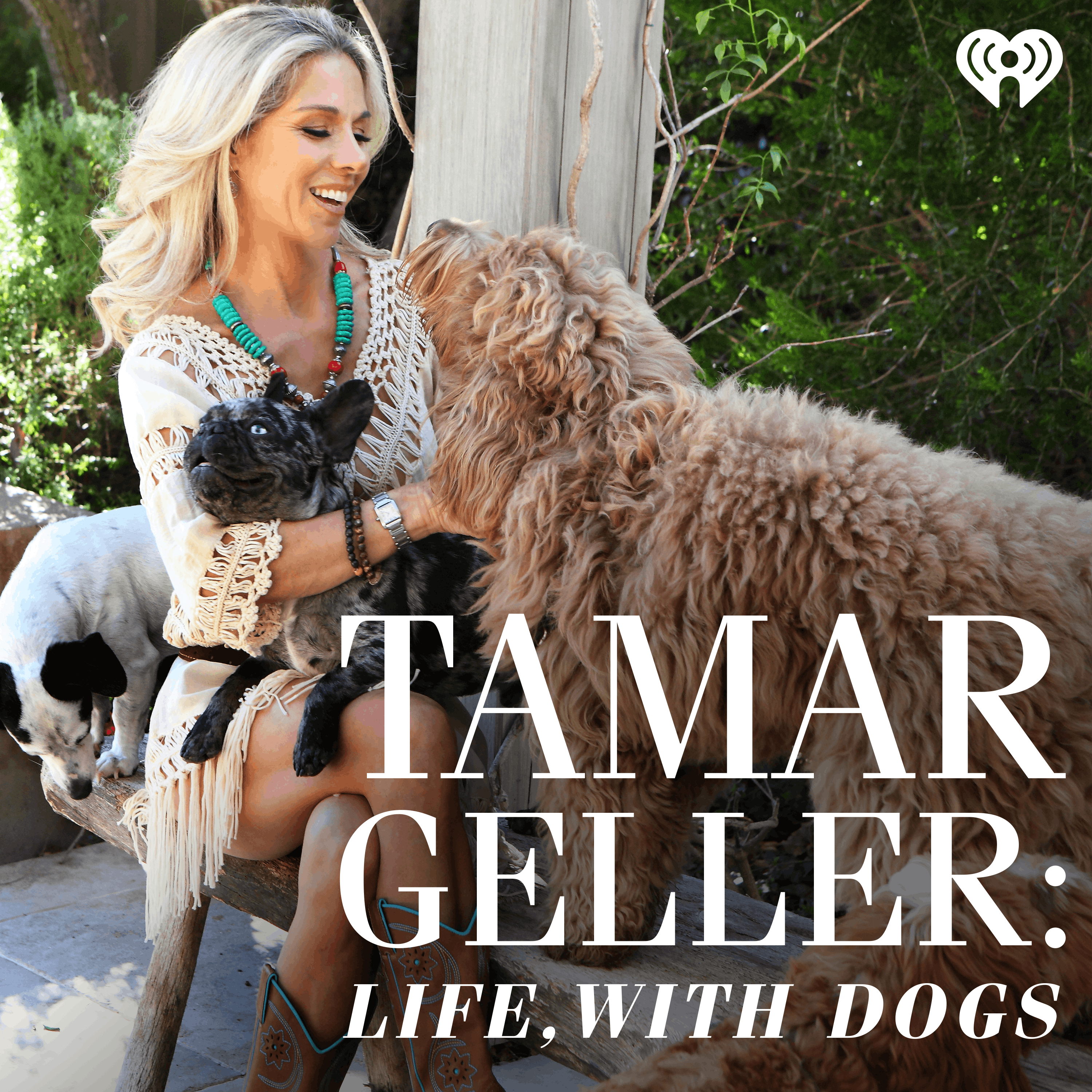 Tamar Geller: Life, with Dogs