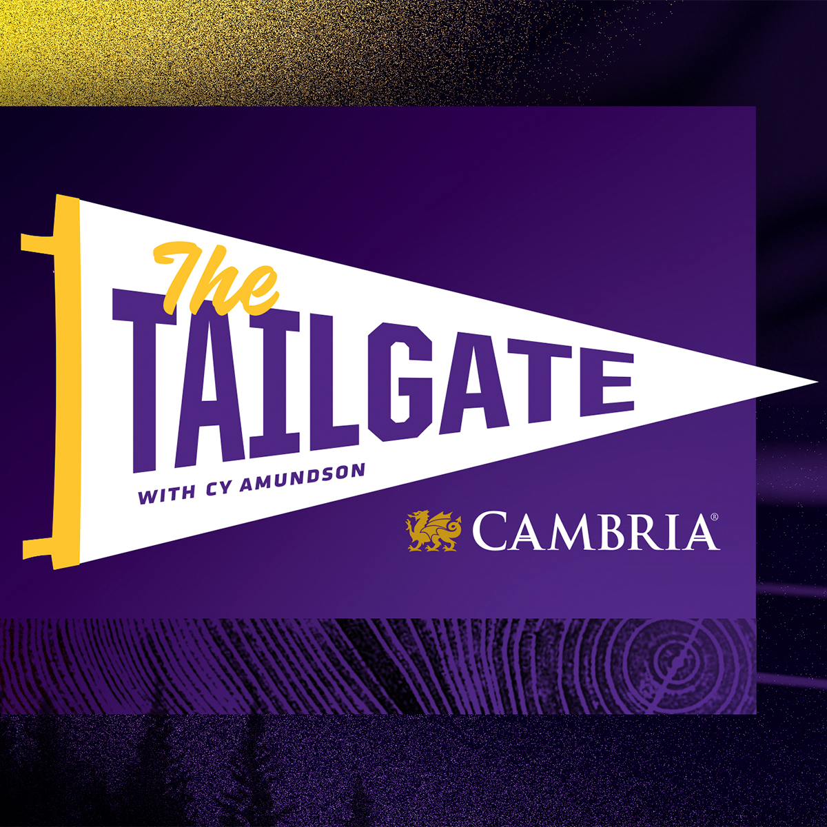 The Vikings Tailgate