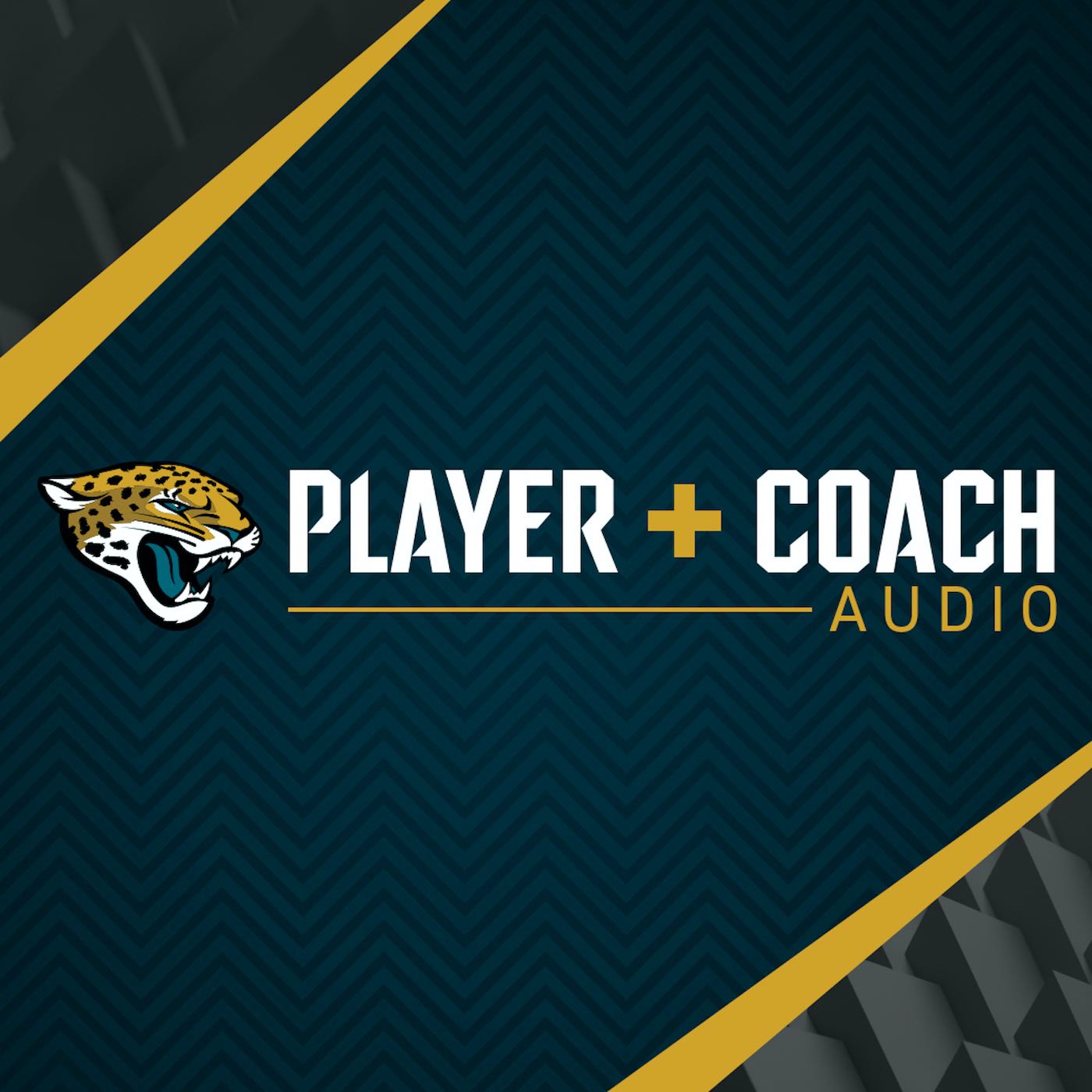Jaguars Player & Coach audio