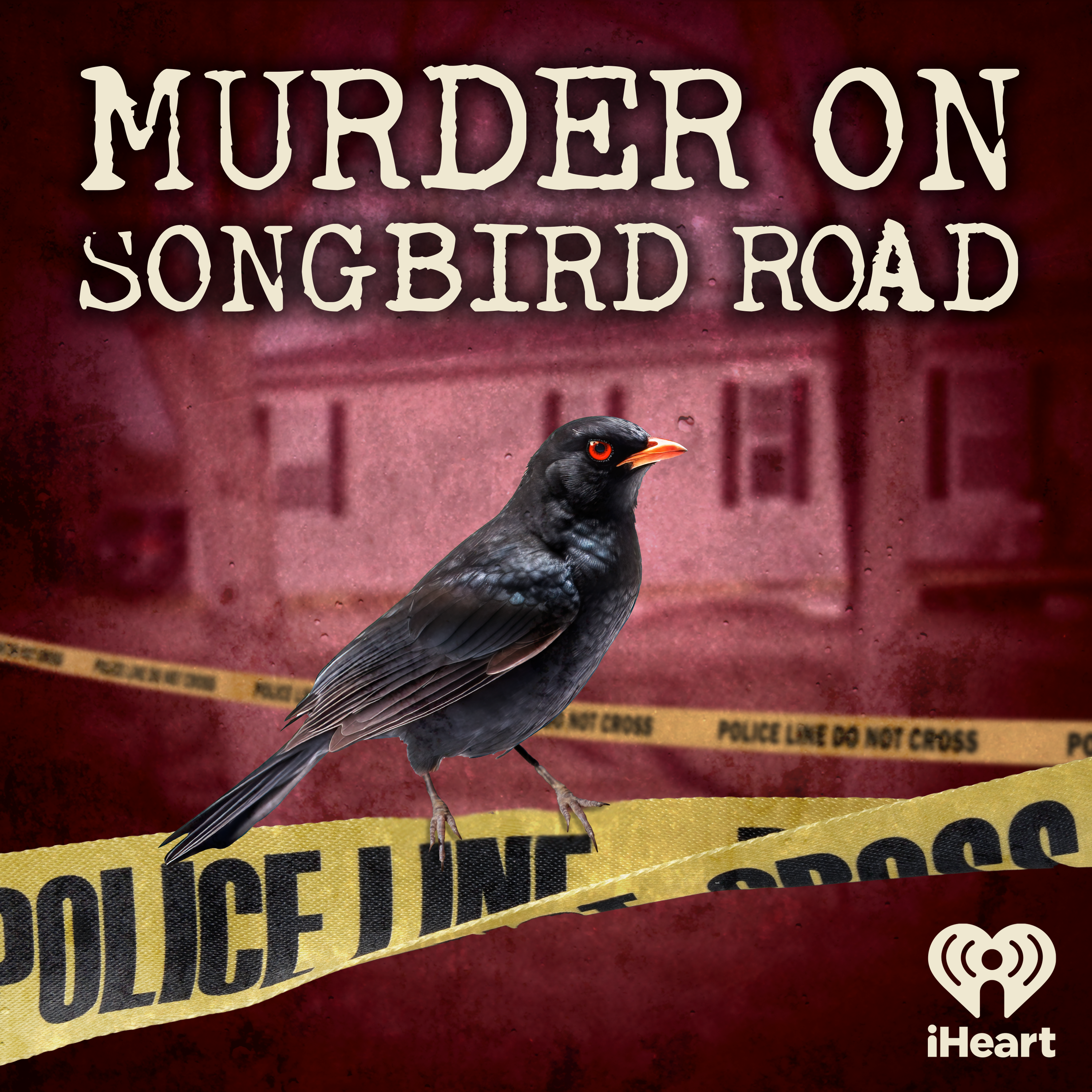 Introducing: Murder on Songbird Road