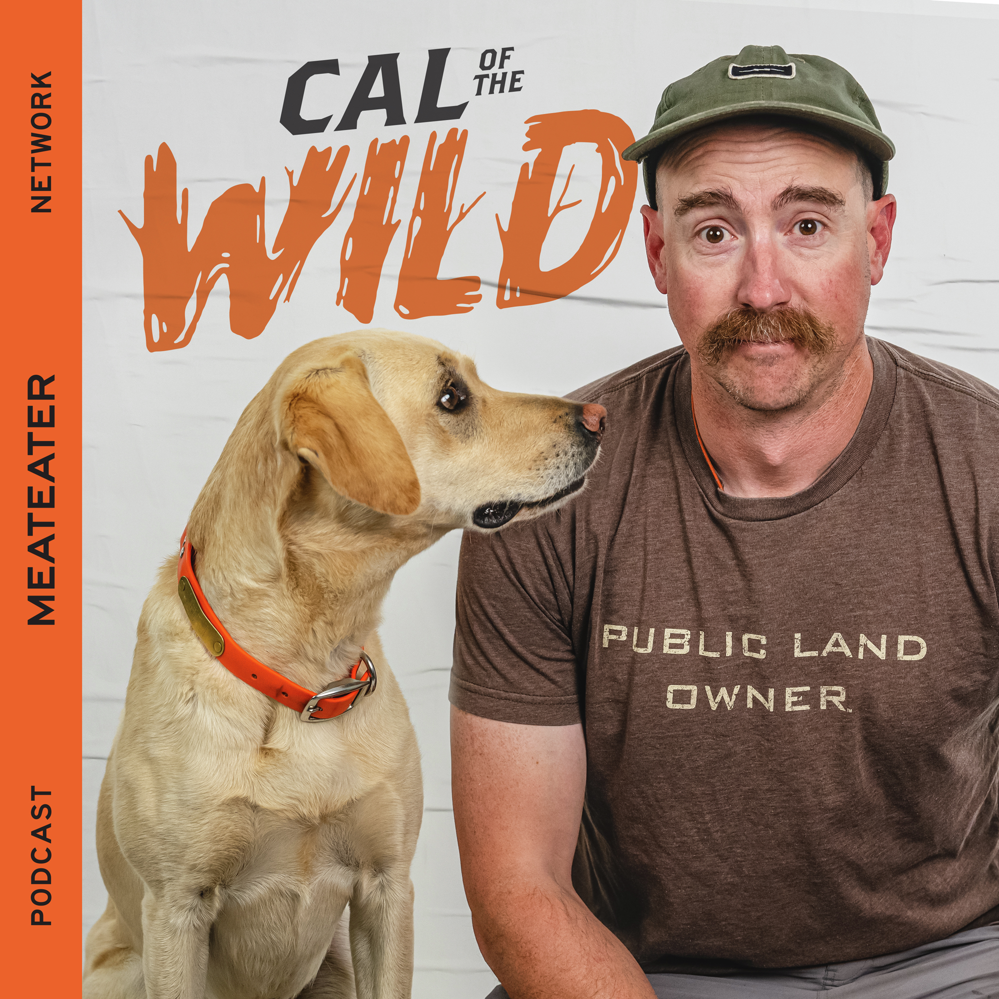 Cal of the Wild