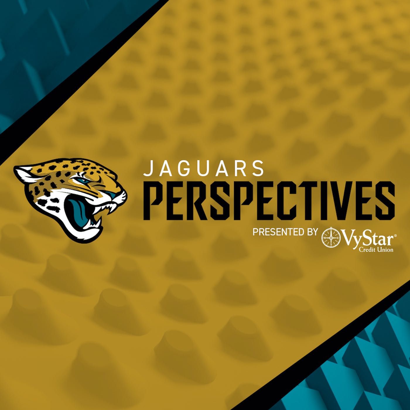 Jaguars Perspectives